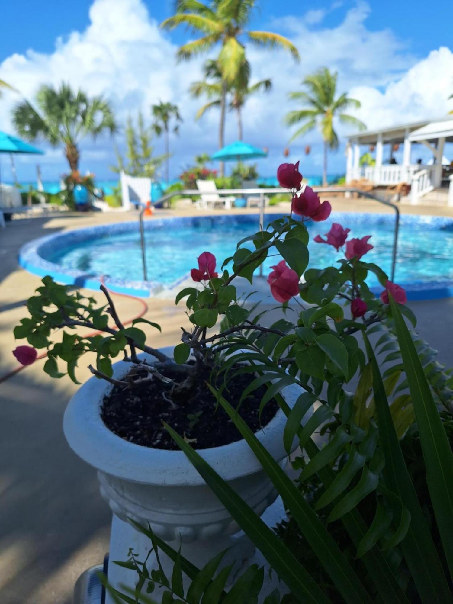 Sibonne Beach Hotel Grace Bay Ngoại thất bức ảnh