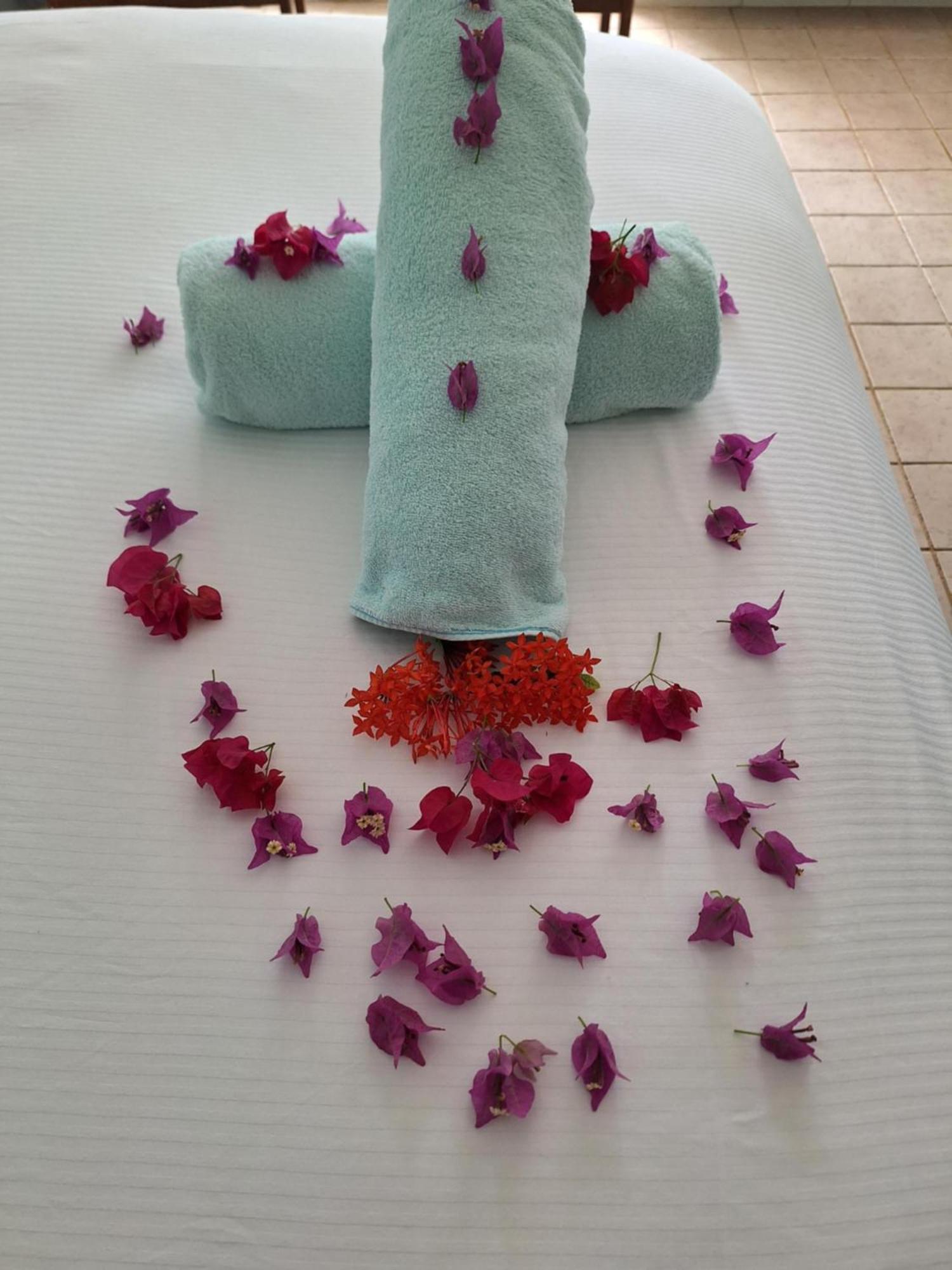 Sibonne Beach Hotel Grace Bay Ngoại thất bức ảnh